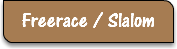 Freerace / Slalom