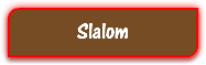 Slalom