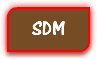 SDM